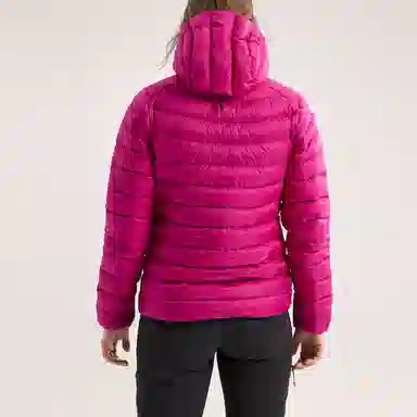 Arcteryx Cerium Hoody Logo