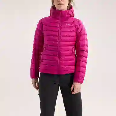 Arcteryx Cerium Hoody Logo