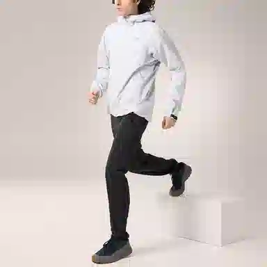 Arcteryx Kadin Hoody Logo