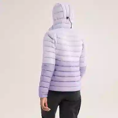 Arcteryx Cerium Hoody Logo