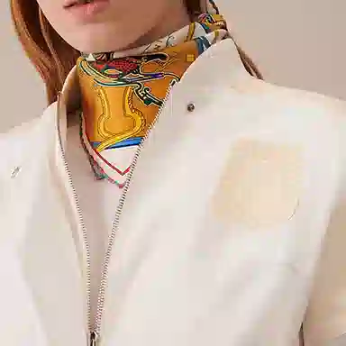 HERMES