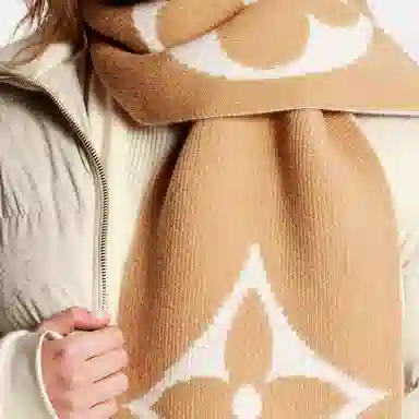 LOUIS VUITTON LV Medallion