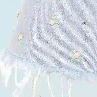 Miu Miu Denim Shorts