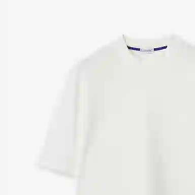 Burberry T