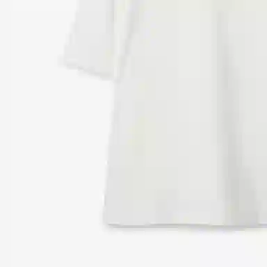 Burberry T
