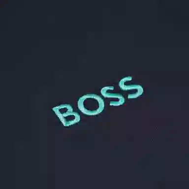 HUGO BOSS Polo