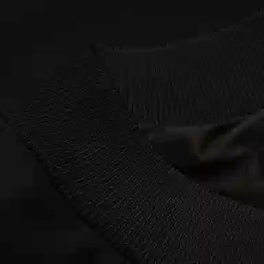 Alexander McQueen Logo