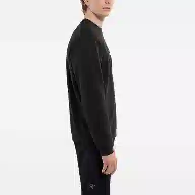 Arcteryx EMBLEM Logo