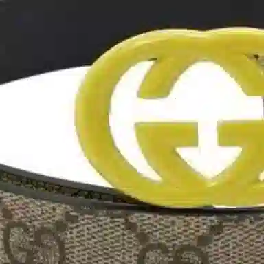 Gucci Printed Belt Brown