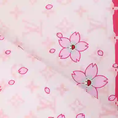 Louis Vuitton Scarf Pink