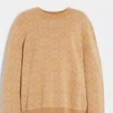 COACH Sweater