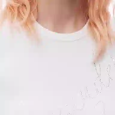 alexander wang FW24 T