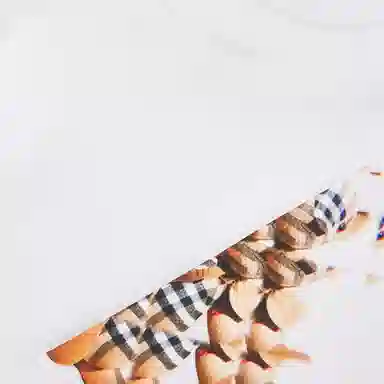 Burberry Teddy Bear Print Sweatshirt