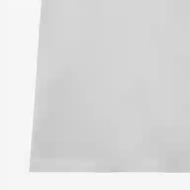 Alexander McQueen SS22 T