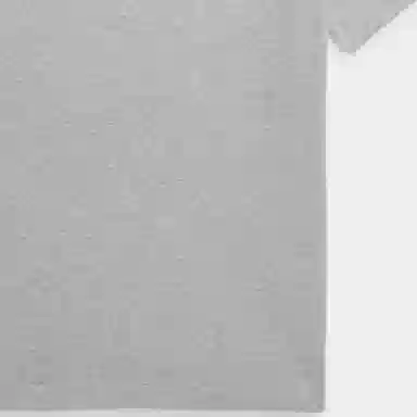 Polo Ralph Lauren SS24 LogoT