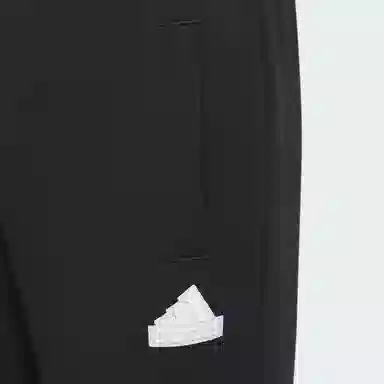 adidas Urban Outdoor Pants