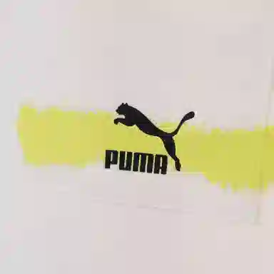 PUMA Graphic Boxy Tee T
