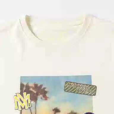 Mitchell Ness T