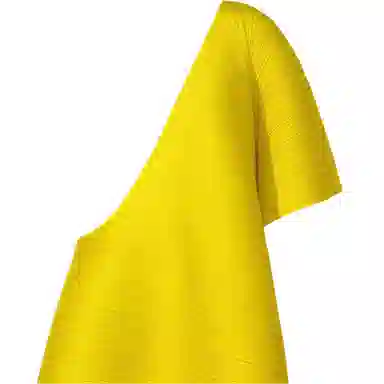 PLEATS PLEASE ISSEY MIYAKE FW25