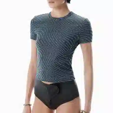 alexander wang FW25T