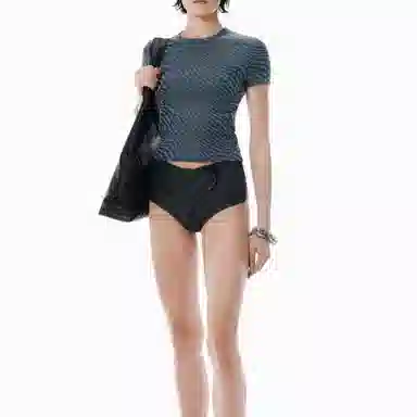 alexander wang FW25T