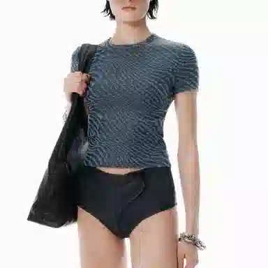 alexander wang FW25T