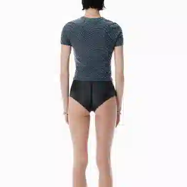 alexander wang FW25T