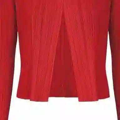 PLEATS PLEASE ISSEY MIYAKE FW23 V