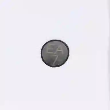 EMPORIO ARMANI EA7 SS24 LogoT