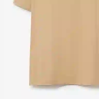 Burberry T
