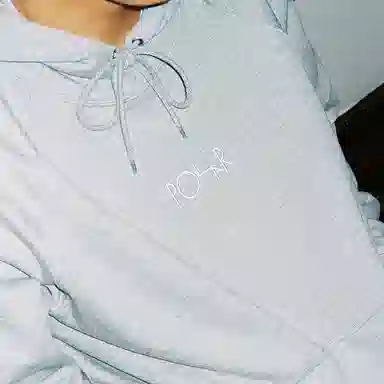 POLAR SKATE CO Default Hoodie Logo