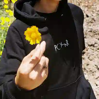 POLAR SKATE CO Default Hoodie Logo