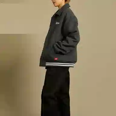 Dickies Logo