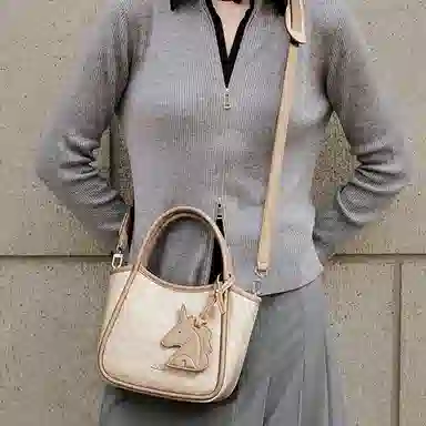 NUCELLE