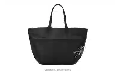 Arcteryx45LCARRIER 45