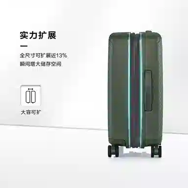 SAMSONITE Logo 20