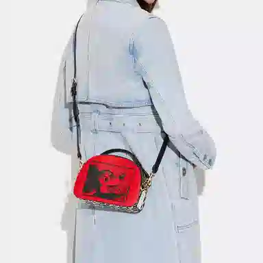 COACH x Disney x Keith Haring Serena 21