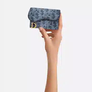 DIOR SaddleOBLIQUE D