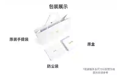 DIOR SaddleOBLIQUE D