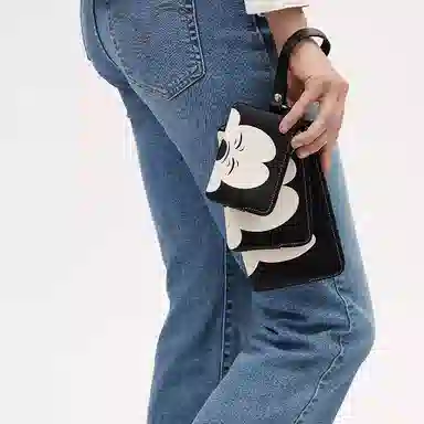 COACH x Disney Corner Zip 20