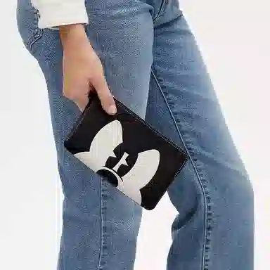 COACH x Disney Corner Zip 20