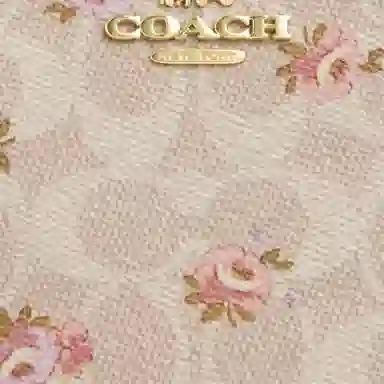 COACH Corner Zip 20 Logo
