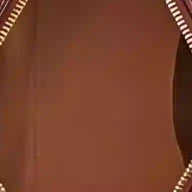 COACH X Tom Wesselmann Rowan