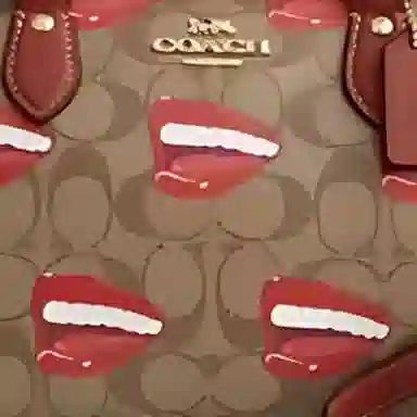 COACH X Tom Wesselmann Rowan