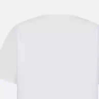 DIOR T