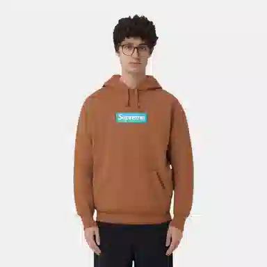 Supreme FW17 Box Logo Hooded Sweatshirt Brown