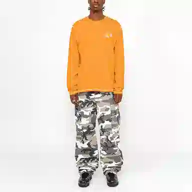 Stussy x MOUNTAIN HARDWEAR FW24 LS TEE logoT