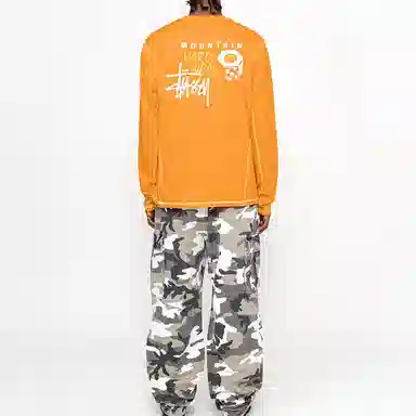 Stussy x MOUNTAIN HARDWEAR FW24 LS TEE logoT
