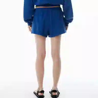 alexander wang SS25 logo