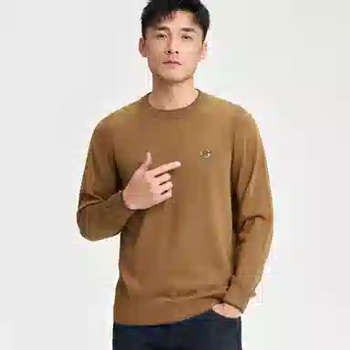 才子 圆领拼接套头修身毛衣 男款